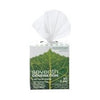 Facial 2-Ply Tissues - 85 Tissues per Box [Set of 3]