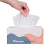 Soft 2-Ply Facial Tissue, White, 230-Count Box | Professional, Gentle and Durable | Great for Bathroom, Office, Business, School (2,760 Tissues, Bulk Pack of 12-Boxes)