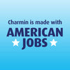 Charmin Ultra Soft Cushiony Touch Toilet Paper, 6 Family Mega Rolls = 30 Regular Rolls (Prime Pantry)