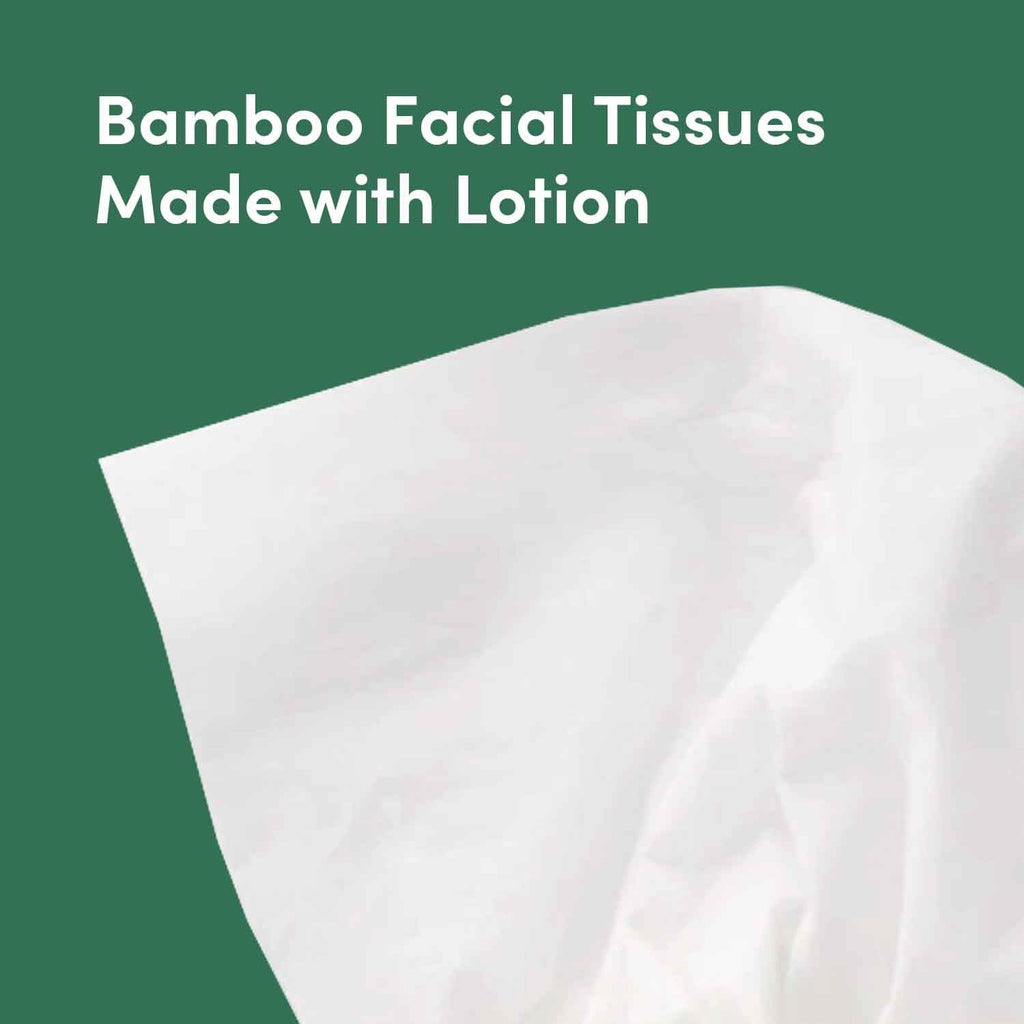 Amazon Aware Bamboo Facial Tissues with Lotion, 3-Ply, 12 Pack, 60 Sheets Per Box, 720 Total