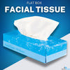 1InTheOffice Facial Tissue, Tissue Paper, Facial Tissue Paper, 2-Ply, Soft and Strong, Flat Box, White, 100 Sheets/Box, 8 Boxes (Pack of 3)