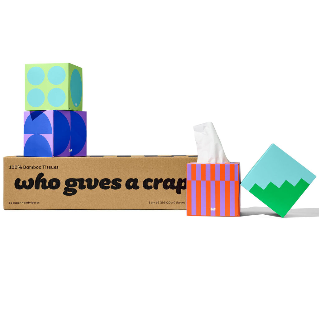 Who Gives a Crap Bamboo Tissues, Facial Tissue Cube Boxes, 100% Bamboo, 3 Ply, 12 Boxes, 65 Sheets per Box, Soft, Strong, and Sustainable, Eco Friendly With Plastic Free Packaging, 780 Total Tissues