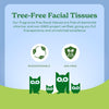 Caboo Tree Free Facial Tissues, 120 Tissues Per Box, 480 Total
