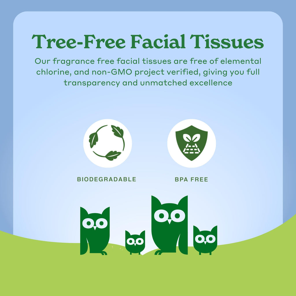 Caboo Tree Free Facial Tissues, 120 Tissues Per Box, 480 Total