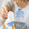 Kleenex(R) 2-Ply Facial Tissue, Flat,100 Count (Pack of 5)