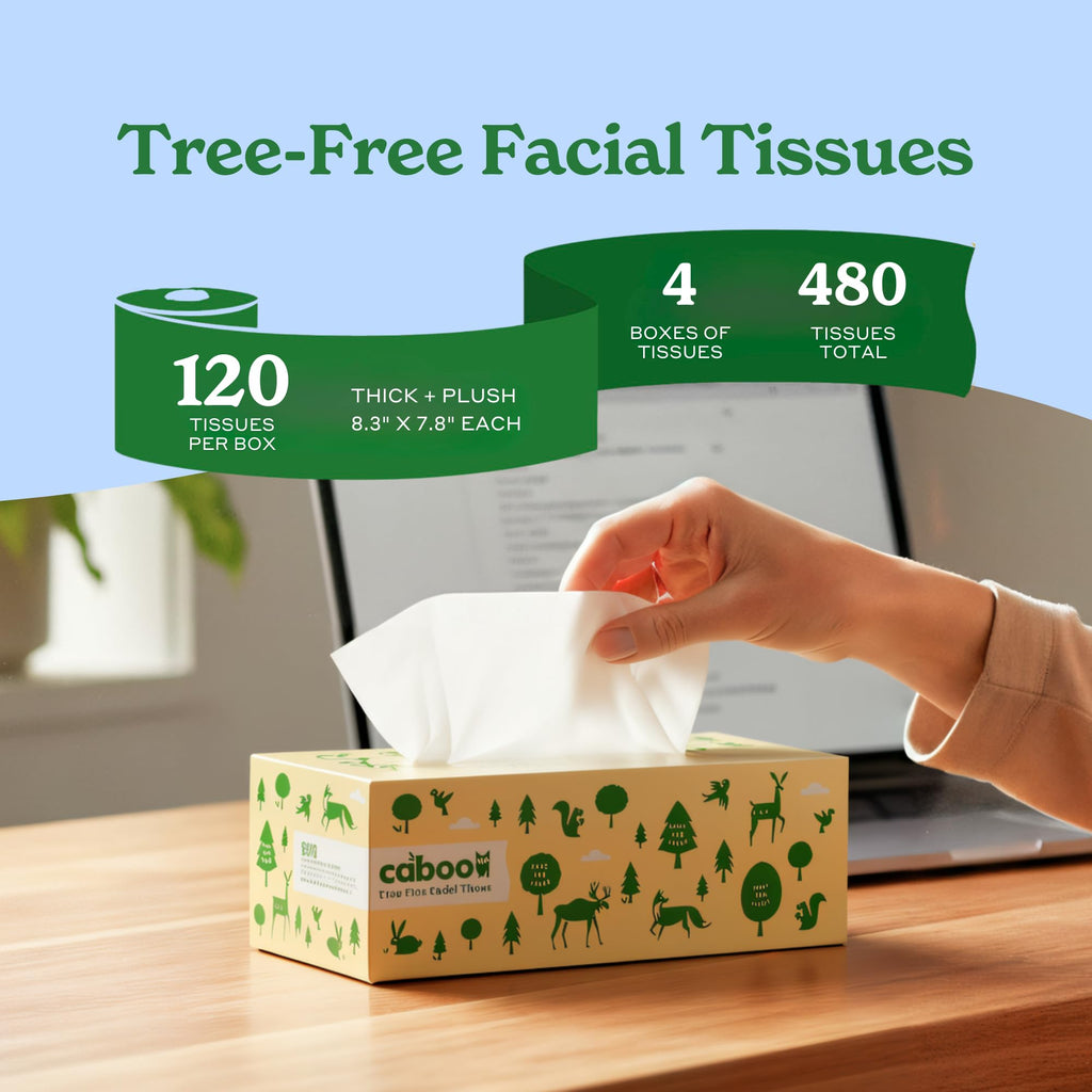 Caboo Tree Free Facial Tissues, 120 Tissues Per Box, 480 Total