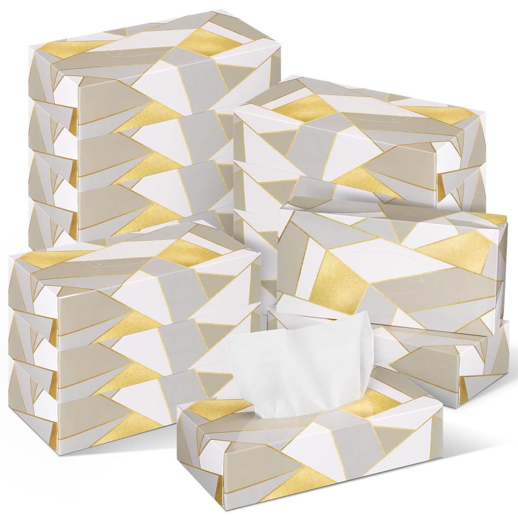 Yinder 12 Pack Facial Tissue Boxe Cube Tissue for Classroom, Modern