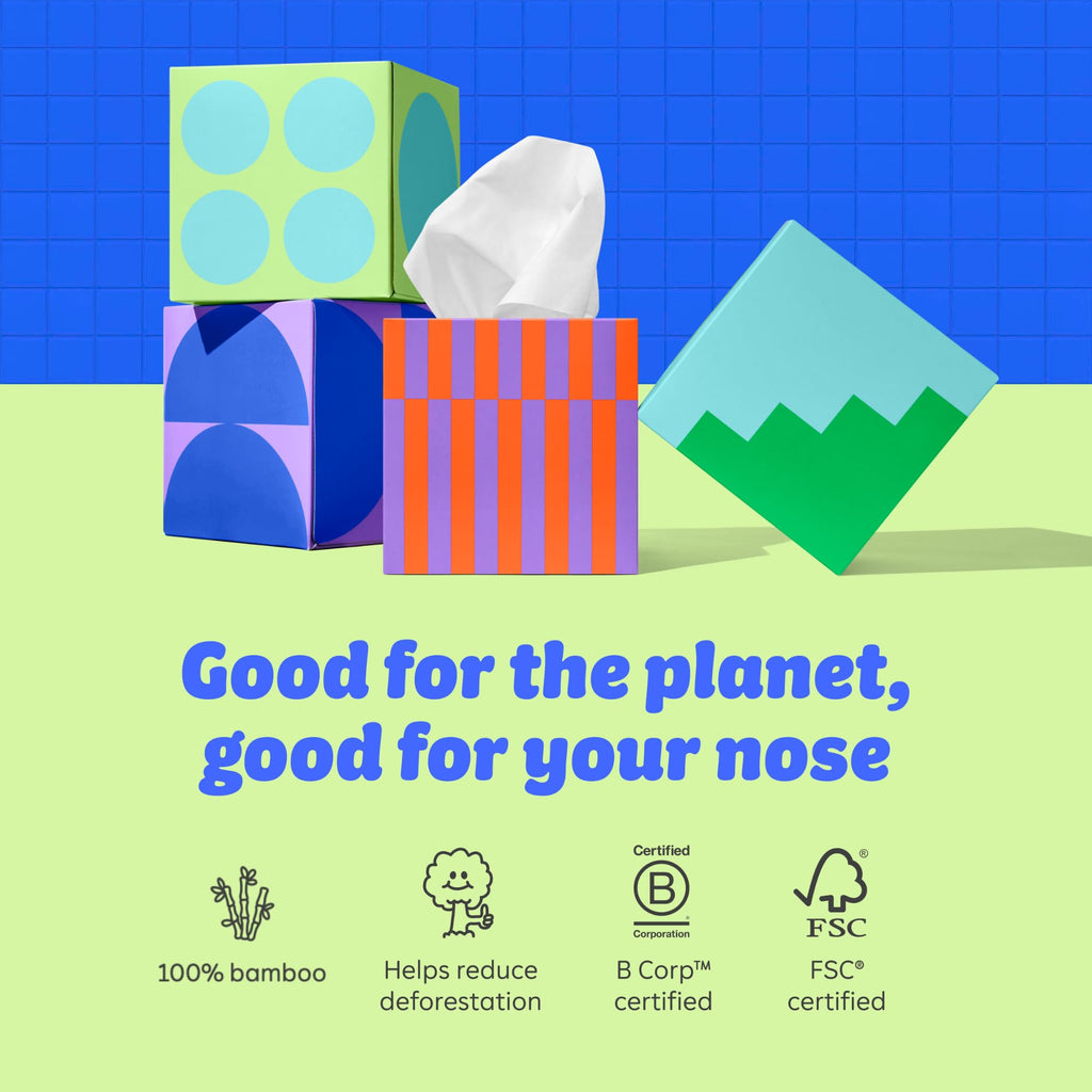 Who Gives a Crap Bamboo Tissues, Facial Tissue Cube Boxes, 100% Bamboo, 3 Ply, 12 Boxes, 65 Sheets per Box, Soft, Strong, and Sustainable, Eco Friendly With Plastic Free Packaging, 780 Total Tissues