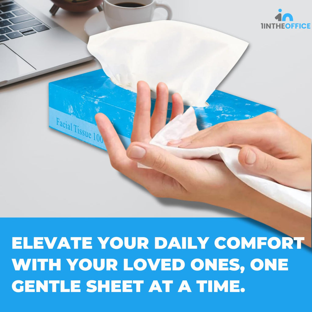 1InTheOffice Facial Tissue Paper, White Tissue, Flat Box with 100 Sheets, Soft 2-Ply, 6 Pack