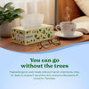 Caboo Tree Free Facial Tissues, 120 Tissues Per Box, 480 Total