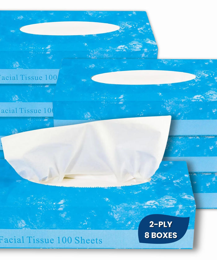 1InTheOffice Facial Tissue, Tissue Paper, Facial Tissue Paper, 2-Ply, Soft and Strong, Flat Box, White, 100 Sheets/Box, 8 Boxes