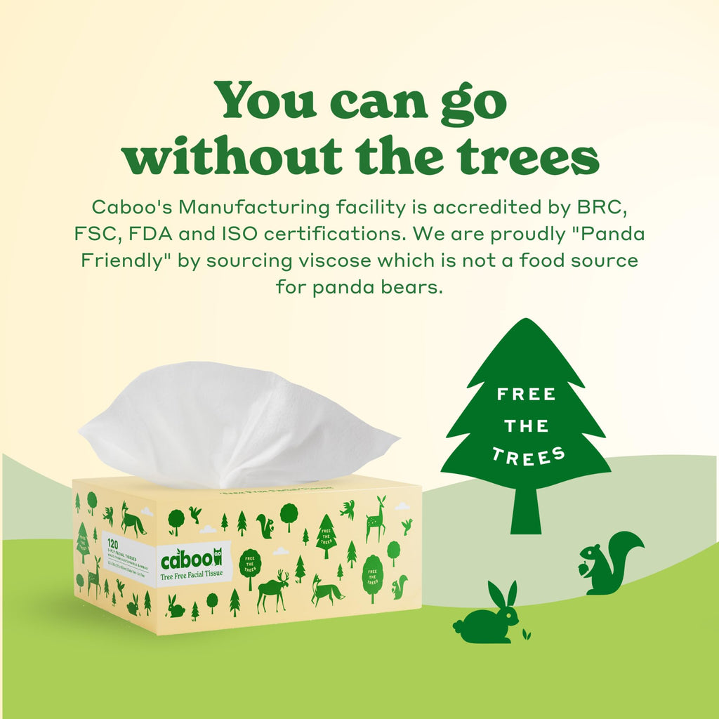 Caboo Tree Free Facial Tissues, 120 Tissues Per Box, 480 Total