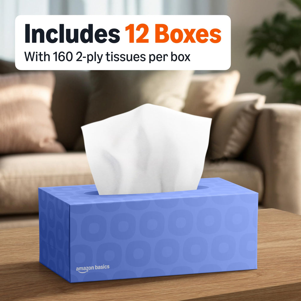 Amazon Basics Facial Tissue, 2-Ply, 1920 Count, 12 Packs of 160, Packaging May Vary