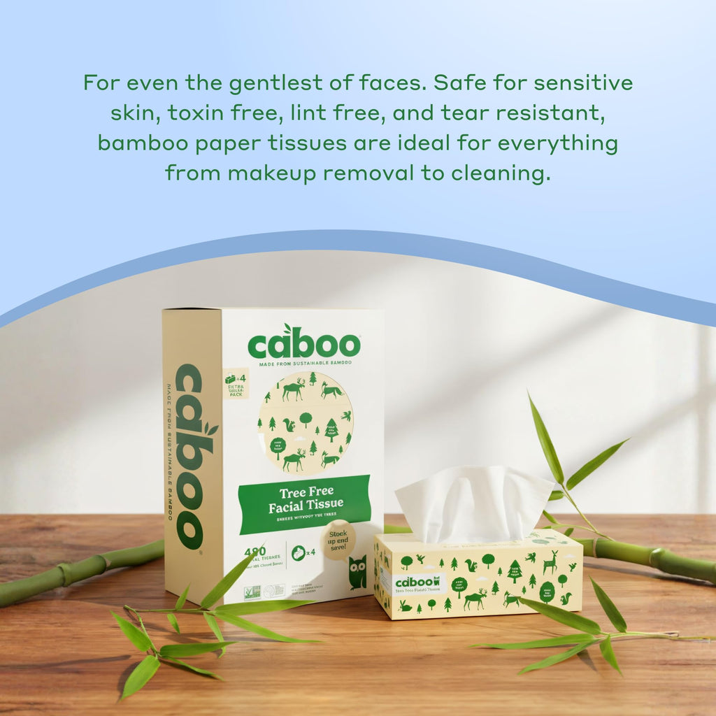 Caboo Tree Free Facial Tissues, 120 Tissues Per Box, 480 Total