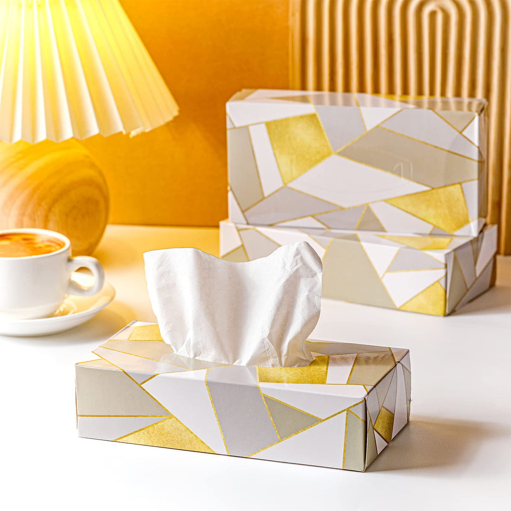Yinder 12 Pack Facial Tissue Boxe Cube Tissue for Classroom, Modern