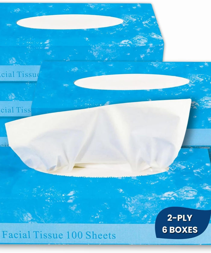 1InTheOffice Facial Tissue Paper, White Tissue, Flat Box with 100 Sheets, Soft 2-Ply, 6 Pack