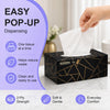 Premium Facial Tissues, Black and Gold Luxury Box Design, 2-Ply, 200 Sheets Per Box, 15 Pack, Hypoallergenic