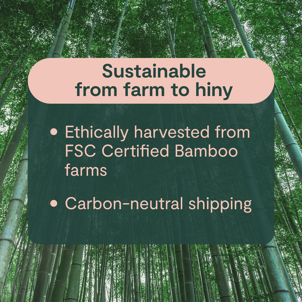 ecoHiny Premium Bamboo Toilet Paper 12 Mega Rolls 3ply 350 Sheets PFAS Free