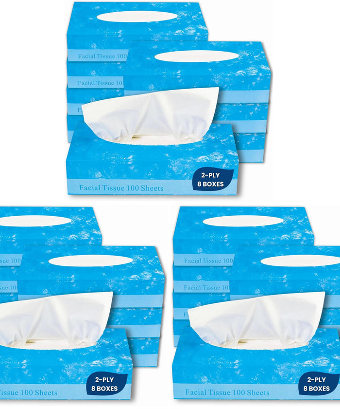 1InTheOffice Facial Tissue, Tissue Paper, Facial Tissue Paper, 2-Ply, Soft and Strong, Flat Box, White, 100 Sheets/Box, 8 Boxes (Pack of 3)