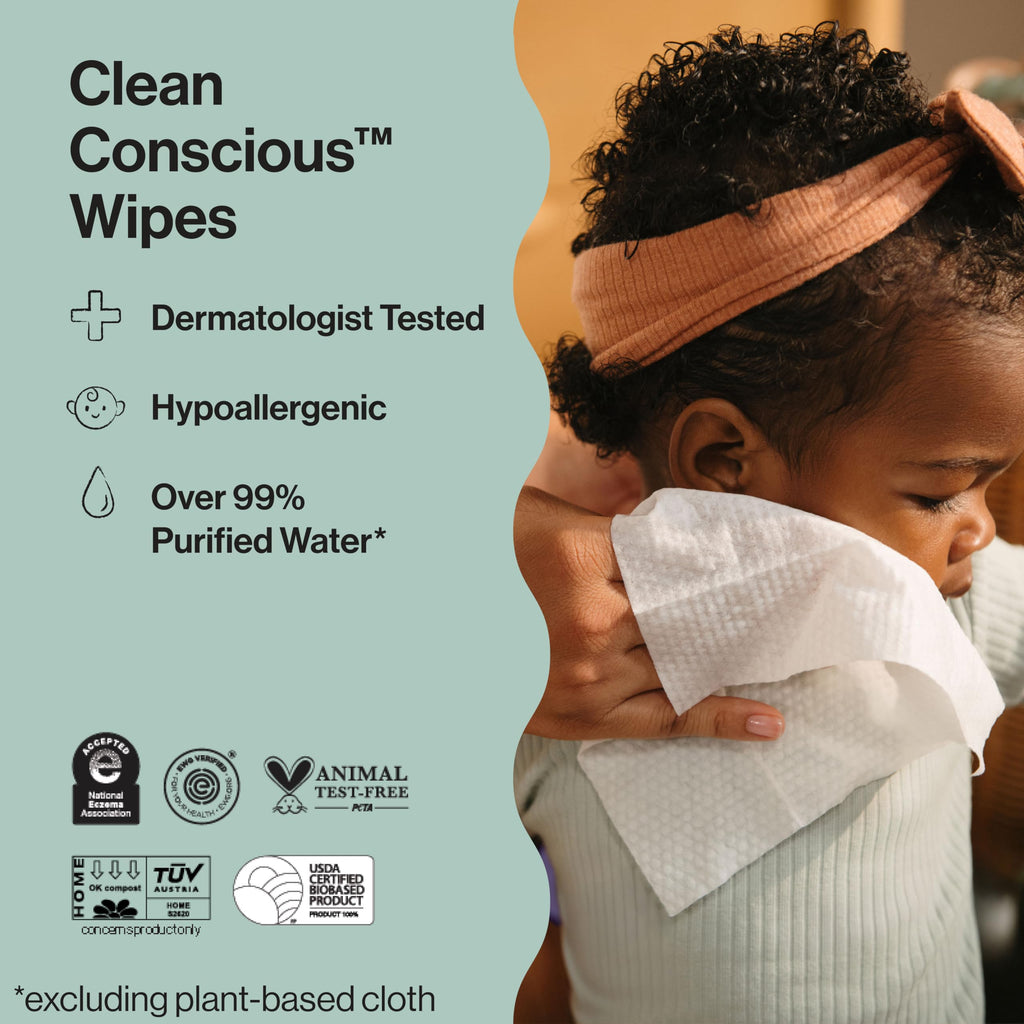 The Honest Company Multi-Use Baby Wipes, Pattern Play, 10 Count