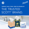 Surpass Facial Tissue, Bulk, 60 Boxes x 125 Tissues (21390)