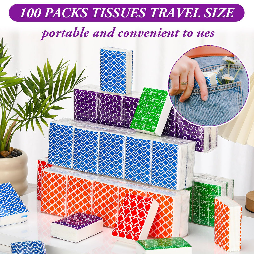 Therwen 100 Pack Pocket Tissues Travel Bulk 1000 Sheet, Multicolor