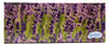 (4 Pack) Scotties 2-Ply Facial Tissues, 148 Sheets Per Box