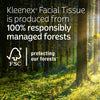 Kleenex Disposable Paper Hand Towels, 6 Boxes, 60 Tissues per Box (360 Total Tissues), Packaging May Vary